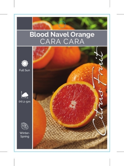Picture of FRUIT CITRUS ORANGE CARA CARA BLOOD NAVEL                                                                                                             