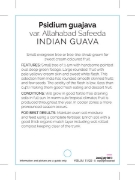 Picture of FRUIT GUAVA INDIAN PSIDIUM GUAJAVA                                                                                                                    