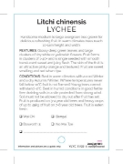 Picture of FRUIT LYCHEE                                                                                                                                          