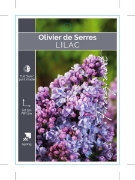 Picture of SYRINGA LILAC OLIVIER DE SERRES                                                                                                                       