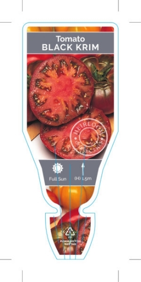 Picture of VEGETABLE TOMATO HEIRLOOM BLACK KRIM (Lycopersicon esculentum)                                                                                        