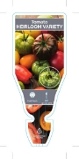 Picture of VEGETABLE TOMATO HEIRLOOM (MIXED PICTURE) (Lycopersicon esculentum)                                                                                   