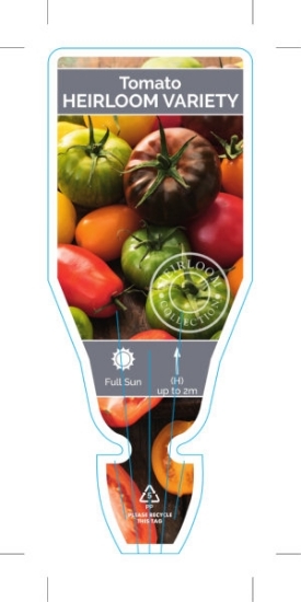 Picture of VEGETABLE TOMATO HEIRLOOM (MIXED PICTURE) (Lycopersicon esculentum)                                                                                   