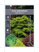 Picture of ACER PALMATUM SEIRYU                                                                                                                                  