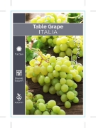 Picture of FRUIT GRAPE TABLE ITALIA                                                                                                                              