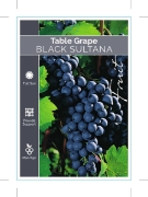 Picture of FRUIT GRAPE TABLE BLACK SULTANA                                                                                                                       