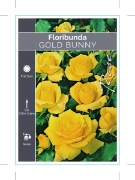 Picture of ROSE GOLD BUNNY (FL)                                                                                                                                  