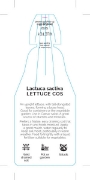 Picture of VEGETABLE LETTUCE COS (Lactuca sativa)                                                                                                                