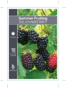 Picture of **FRUIT SILVAN BERRY SUMMER FRUITING                                                                                                                  