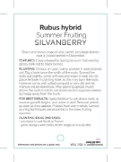 Picture of **FRUIT SILVAN BERRY SUMMER FRUITING                                                                                                                  