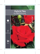 Picture of ROSE KARDINAL (HT)                                                                                                                                    