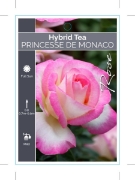 Picture of ROSE PRINCESSE DE MONACO (HT)                                                                                                                         