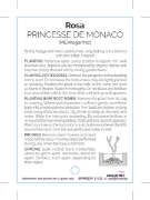 Picture of ROSE PRINCESSE DE MONACO (HT)                                                                                                                         