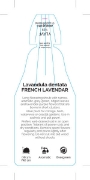 Picture of LAVANDULA DENTATA FRENCH LAVENDER                                                                                                                     