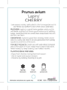 Picture of FRUIT CHERRY LAPINS                                                                                                                                   