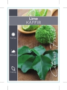 Picture of FRUIT CITRUS LIME KAFFIR                                                                                                                              