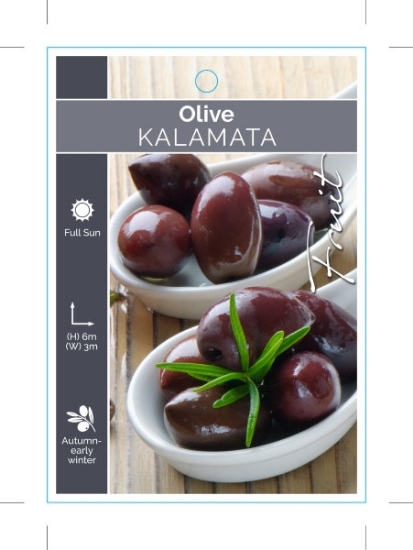 Picture of FRUIT OLIVE KALAMATA                                                                                                                                  