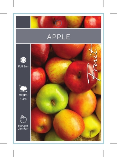 Picture of FRUIT APPLE MIXED PICTURE                                                                                                                             