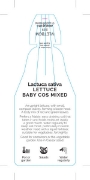 Picture of VEGETABLE LETTUCE BABY COS MIXED (Lactuca sativa)                                                                                                     