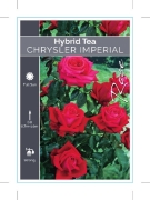 Picture of **ROSE CHRYSLER IMPERIAL (HT)                                                                                                                         