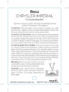 Picture of **ROSE CHRYSLER IMPERIAL (HT)                                                                                                                         