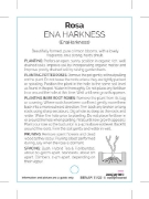 Picture of **ROSE ENA HARKNESS (HT)                                                                                                                              