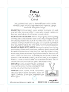 Picture of **ROSE OSIRIA (HT)                                                                                                                                    