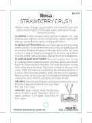 Picture of ROSE STRAWBERRY CRUSH (Shrub)                                                                                                                         