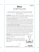 Picture of ROSE DORTMUND (ER CLIMBING)                                                                                                                           
