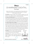 Picture of ROSE CHAMPAGNE COCKTAIL                                                                                                                               