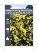 Picture of PHEBALIUM SQUAMULOSUM SCALY PHEBALIUM                                                                                                                 