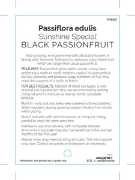 Picture of FRUIT PASSIONFRUIT SUNSHINE SPECIAL (Passiflora edulis)                                                                                               