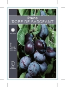 Picture of FRUIT PRUNE ROBE DE SARGEANT                                                                                                                          
