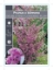 Picture of PRUNUS BLIREANA DOUBLE FLOWERING PLUM Jumbo Tag                                                                                                       