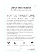 Picture of FRUIT CITRUS NATIVE FINGER LIME                                                                                                                       
