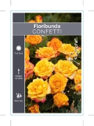 Picture of ROSE CONFETTI (FL)                                                                                                                                    
