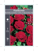 Picture of ROSE HANS CHRISTIAN ANDERSON (FL)                                                                                                                     