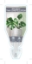 Picture of HOUSEPLANT MONSTERA THAI CONSTELLATION                                                                                                                