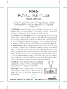 Picture of ROSE ROYAL HIGHNESS (HT)                                                                                                                              