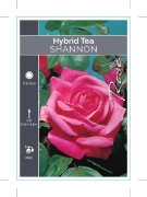 Picture of **ROSE SHANNON (HT)                                                                                                                                   