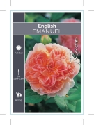 Picture of **ROSE EMANUEL (English)                                                                                                                              