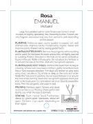 Picture of **ROSE EMANUEL (English)                                                                                                                              