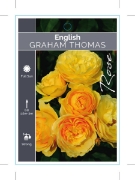 Picture of ROSE GRAHAM THOMAS (English)                                                                                                                          