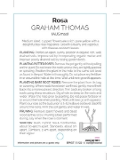 Picture of ROSE GRAHAM THOMAS (English)                                                                                                                          