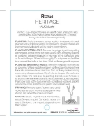 Picture of ROSE HERITAGE (English)                                                                                                                               