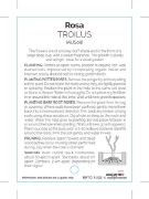 Picture of **ROSE TROILUS (English)                                                                                                                              