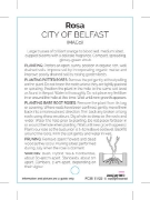 Picture of **ROSE CITY OF BELFAST (FL)                                                                                                                           