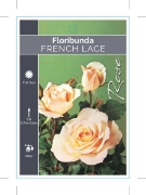 Picture of ROSE FRENCH LACE (FL)                                                                                                                                 