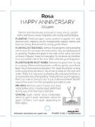 Picture of ROSE HAPPY ANNIVERSARY (HT)                                                                                                                           