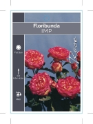 Picture of **ROSE IMP (FL)                                                                                                                                       